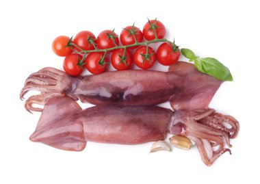 Çiğ mürekkep balıkları, domatesler, fesleğen ve sarımsak beyaza izole edilmiş.