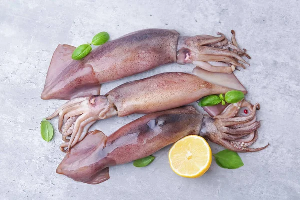 Gri masadaki fesleğen ve limonlu taze çiğ mürekkep balıkları.