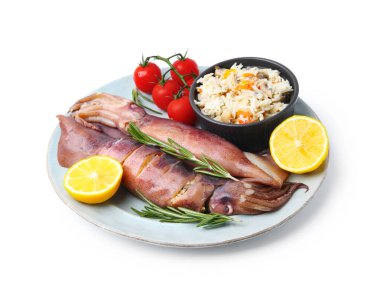 Raw squids, stuffing, rosemary, lemon and tomatoes isolated on white