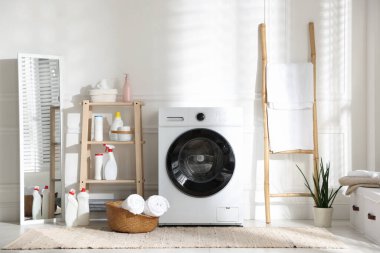 Çamaşır makinesi, deterjan ve ev bitkisiyle iç çamaşır odası.