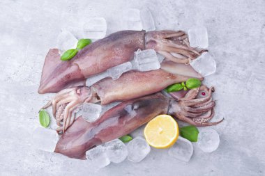 Gri masada buzlu, fesleğenli ve limonlu taze çiğ mürekkep balıkları.