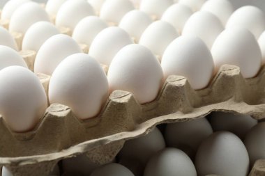 Many raw chicken eggs in egg cartons, closeup