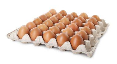 Yumurta kutusundaki çiğ tavuk yumurtaları beyaza izole edilmiş.