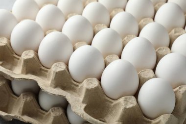 Many raw chicken eggs in egg cartons, closeup