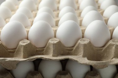 Many raw chicken eggs in egg cartons, closeup