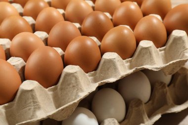 Different raw chicken eggs in egg cartons, closeup