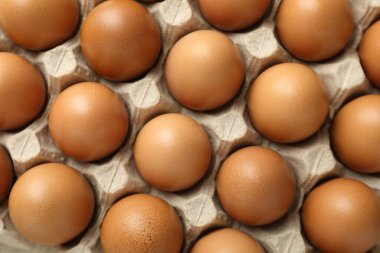 Raw chicken eggs in egg carton as background, top view