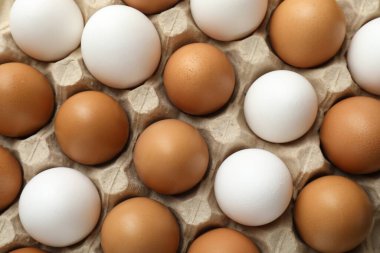 Many raw chicken eggs in carton, top view