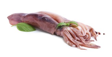 Fesleğenli taze çiğ mürekkep balıkları ve beyaz üzerine izole edilmiş baharatlar.