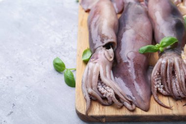 Fresh raw squids with basil on grey table, closeup. Space for text