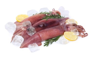 Raw squids, ice cubes, rosemary and lemon slices isolated on white