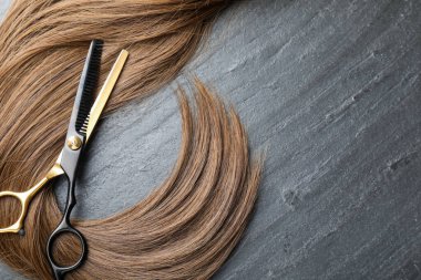 Gri arka planda güzel saç teli ve makas, üst manzara. Metin için boşluk