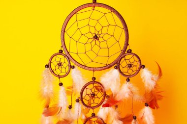 Sarı arka planda güzel bir düş kapanı, yakın plan.