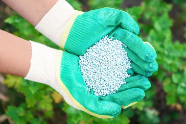 Dışarıdaki fabrikanın yanında gübresi olan bir kadın. Bahçe zamanı.