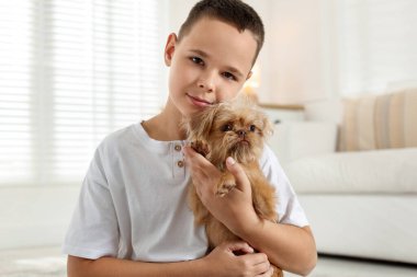 Evde şirin Griffon köpekli bir çocuk var. Evcil hayvan