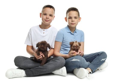 Beyaz arka planda sevimli Griffon yavruları olan çocuklar. Evcil hayvan