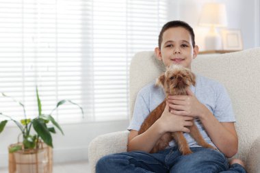 Evdeki koltukta şirin Griffon köpekli çocuk, mesaj için yer var. Evcil hayvan
