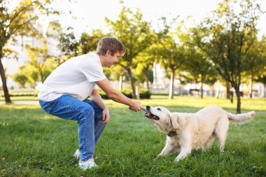Adam parkta sevimli golden retriever köpeğiyle oynuyor. Metin için boşluk