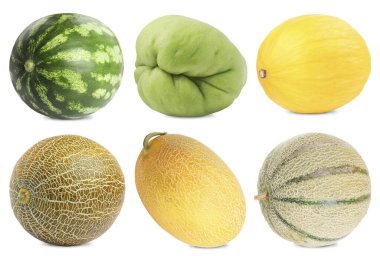 Taze karpuz, kavun ve chayote beyaz sette izole edilmiş. Su kabağı ailesinin sebzeleri.