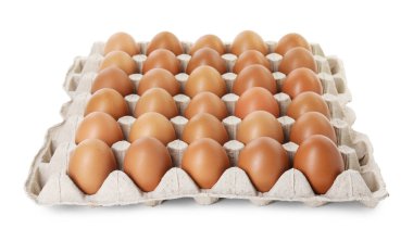 Yumurta kutusundaki çiğ tavuk yumurtaları beyaza izole edilmiş.