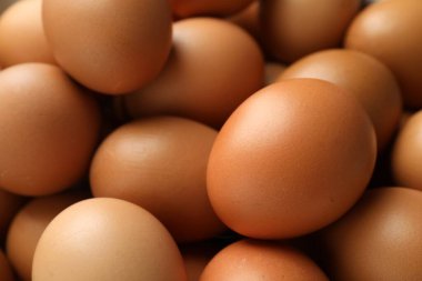 Arka plan olarak birçok çiğ tavuk yumurtası, yakın plan.