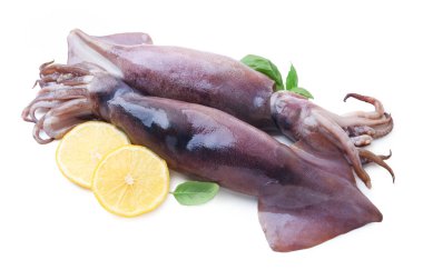 Çiğ mürekkep balıkları, limon dilimleri ve beyaz üzerine izole edilmiş fesleğen.