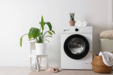 Çamaşır makinesi, sepet ve ev bitkileriyle iç çamaşır odası.