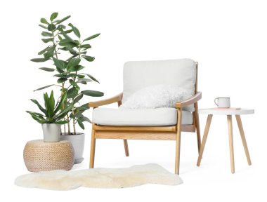 Rahat koltuk, yan masa, halı ve beyaz üzerine izole edilmiş yeşil bitkiler.