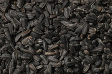 Arkaplan olarak soyulmamış ayçiçeği çekirdekleri, yakın görünüm