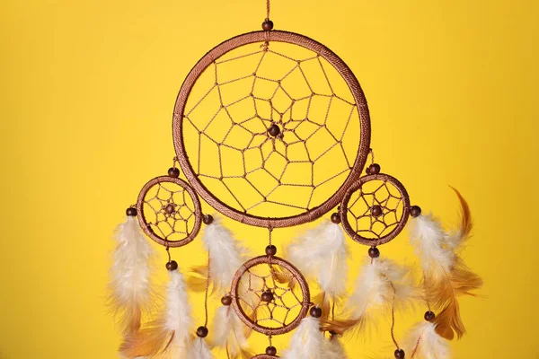 Sarı arka planda güzel bir düş kapanı, yakın plan.