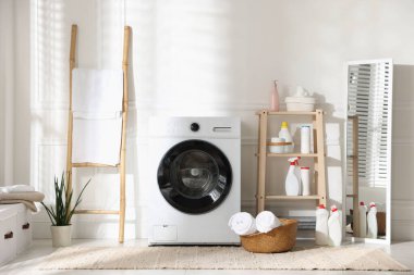 Çamaşır makinesi, deterjan ve ev bitkisiyle iç çamaşır odası.