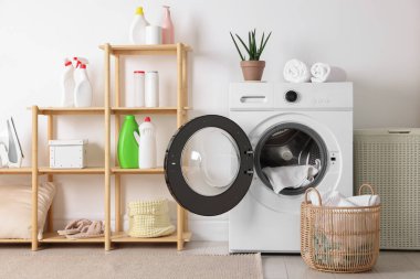 Çamaşır makinesi, sepet, deterjan ve bitki örtüsüyle iç çamaşır odası.
