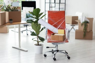 Yeni ofiste birçok taşınan kutu, ev bitkisi ve mobilya