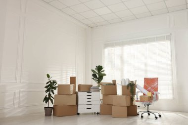 Yeni ofiste birçok taşınan kutu, ev bitkisi ve mobilya var. Metin için boşluk