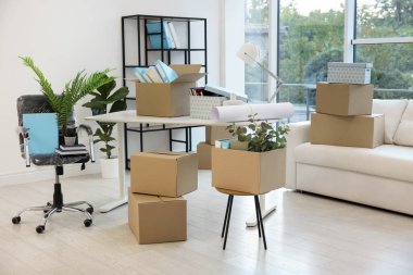 Hareketli Kutular ve yeni ofis mobilya