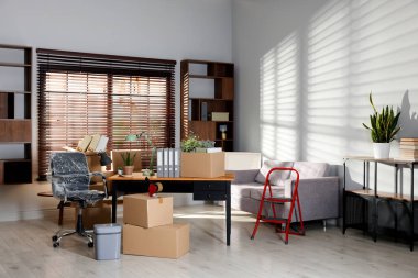 Yeni ofiste birçok taşınan kutu, ev bitkisi, merdiven ve mobilya