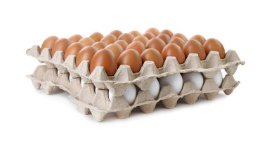 Yumurta kartonlarında çiğ tavuk yumurtası, beyaza izole edilmiş.