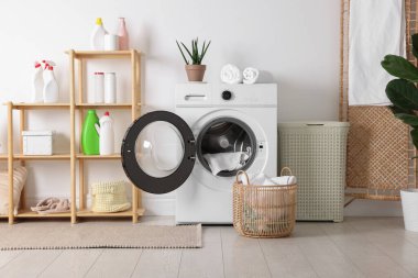 Çamaşır makinesi, sepet, deterjan ve ev bitkileriyle iç çamaşır odası.