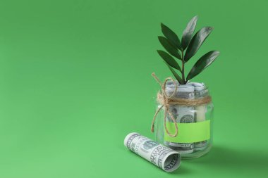 Boş notlu kavanoz, para ve yeşil arka planda filizlenme. Metin için boşluk