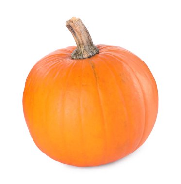 Olgunlaşmış bir balkabağı beyazda izole edilmiş.