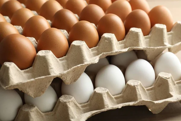 Different raw chicken eggs in egg cartons on table, closeup