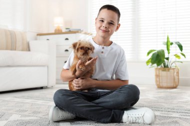 Evde şirin Griffon köpekli bir çocuk var. Evcil hayvan