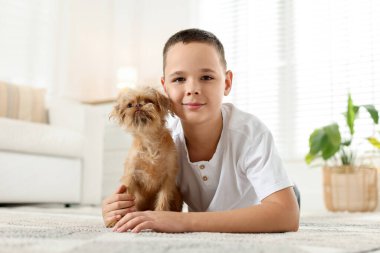 Evdeki sevimli Griffon köpekli çocuk. Evcil hayvan