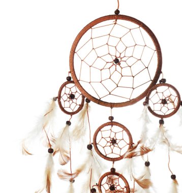 Güzel bir düş kapanı beyazda izole edilmiş.