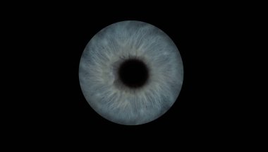 İnsan gözü, yakın plan. Siyah arka planda gözbebeği olan gri iris.