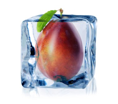 Buz küpünün içindeki taze erik beyaza izole edilmiş.