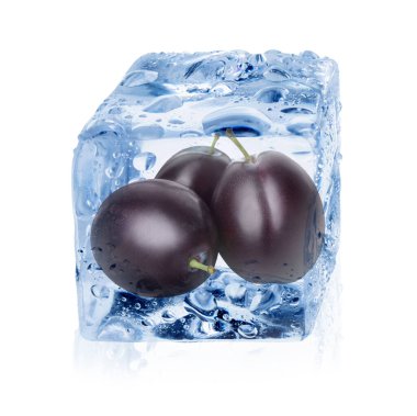 Buz küpünün içindeki taze erikler beyaza izole edilmiş.