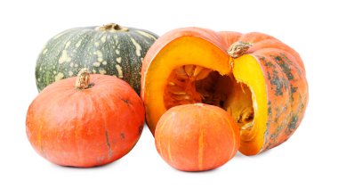 Birçok taze balkabağı beyazın üzerinde izole edilmiş. Su kabağı sebzeleri