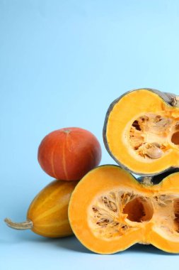 Açık mavi arkaplanda balkabaklarını kesip, mesajlaşmak için boşluk bırakarak. Su kabağı ailesi