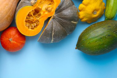 Açık mavi arka planda bir sürü taze balkabağı ve diğer kabak. Metin için boşluk